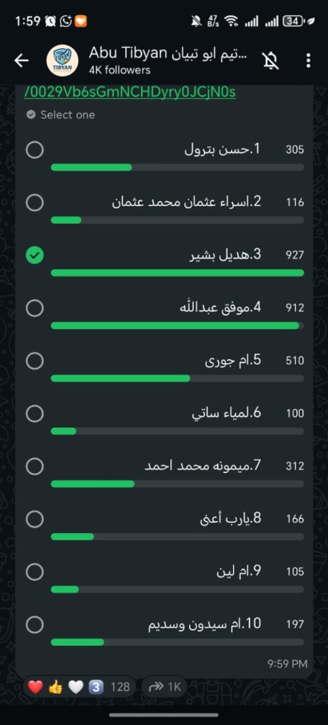 مثال التصويت لـ هديل بشير